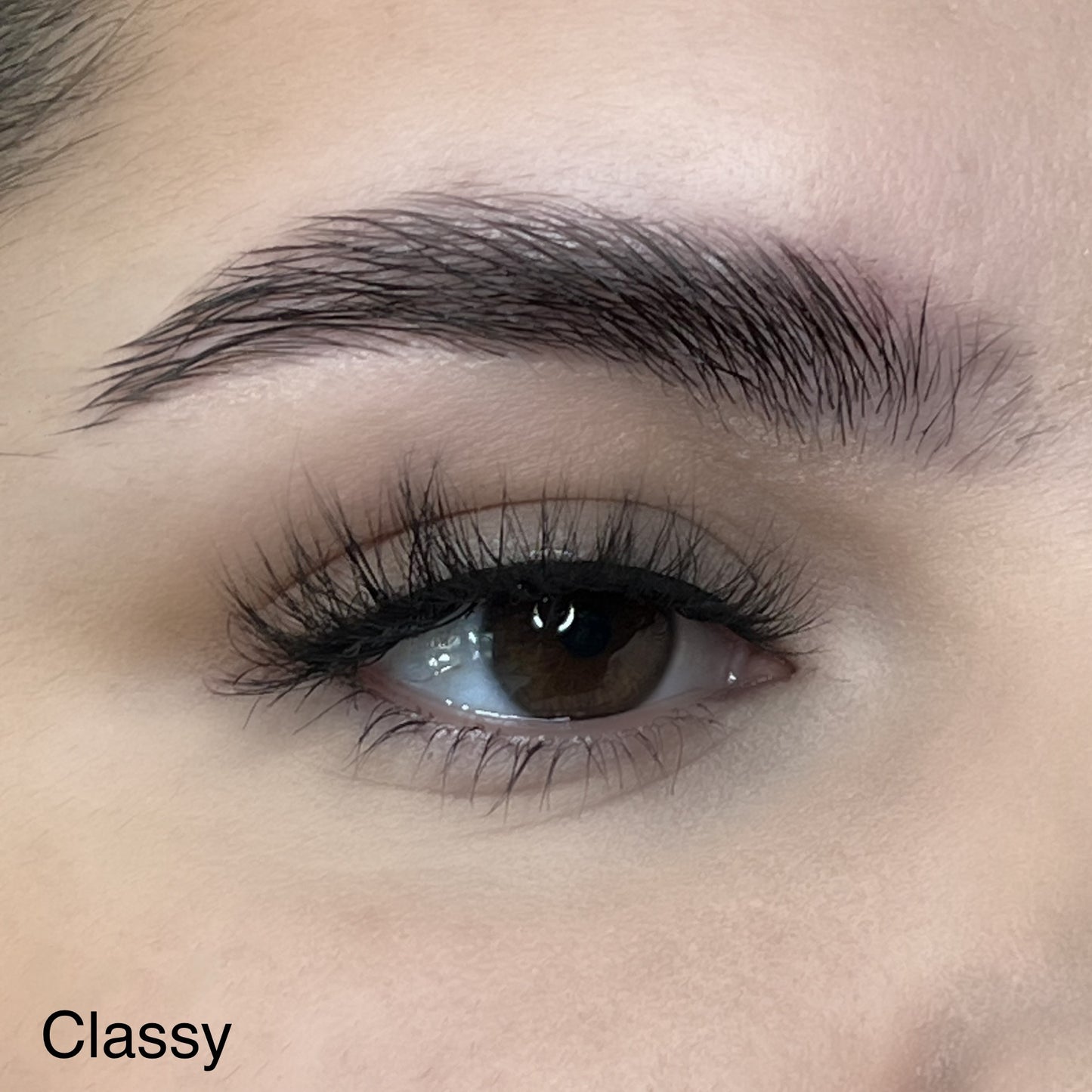 Classy Lashes