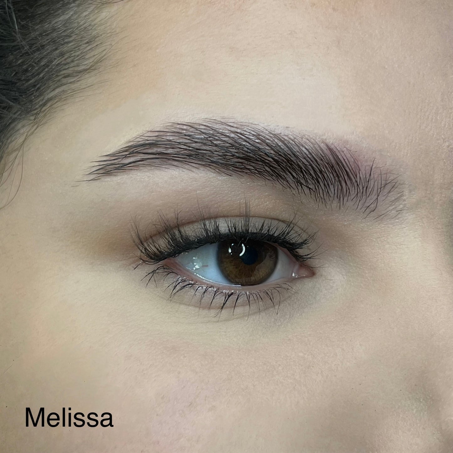 Melissa Lashes